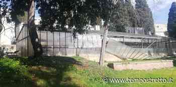 Da Messina “città giardino” all’abbandono, Indaimo: “Recuperare il vivaio per crea... - Tempo Stretto