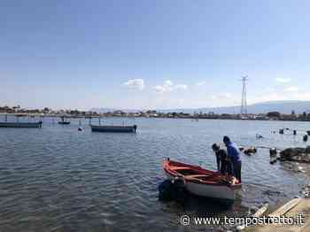Messina. Il granchio blu minaccia la biodiversità a Capo Peloro, troppe alghe nel lago di Ganzirri - Tempo Stretto