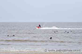 Volunteers criticise jet-skiers for 'harassing' seals resting on shoreline - Ealing Times