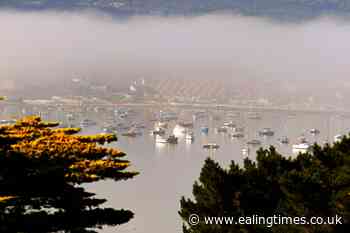 Man arrested on suspicion of manslaughter in missing person inquiry - Ealing Times