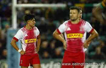 Fine margins cost Harlequins says captain Stephan Lewies - Ealing Times