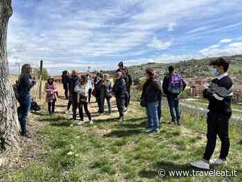 Alba, in cento al “Picnic in vigna” promosso dal Comune - Traveleat.it