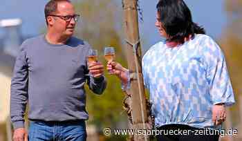 Auf dem Weingut Hartmann in Perl entstehen Weißweine und Rotweine - Saarbrücker Zeitung