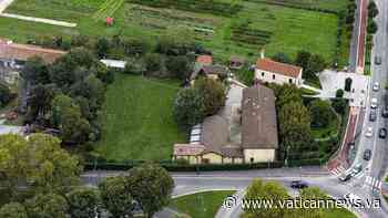 In un bosco di noci, la cura della terra e delle ferite umane - Vatican News - Italiano