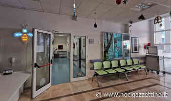 APLETI, si “accende” la luminaria donata da RiGenera - NOCI gazzettino