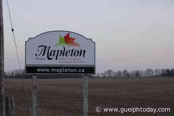 Mapleton council approves plan for 11 houses in Glen Allan - GuelphToday