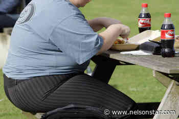 UN: Obesity levels in Europe at ‘epidemic proportions’ - Nelson Star