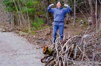 Community volunteers remove wildfire fuel from Nelson's Rail Trail – Nelson Star - Nelson Star
