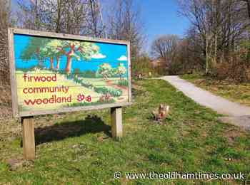 Firwood Park Estate welcomes new wetland space - The Oldham Times