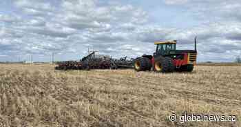 2022 spring seeding in full swing across southern Alberta - Global News