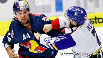 Ice hockey - ICE: Salzburg holds defenders Kanzig and Stapelfeldt - Winter sports - Socialpost