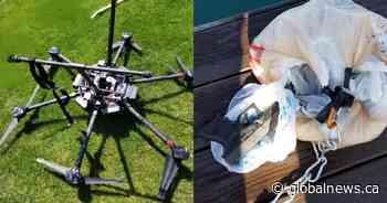 Drone carrying 11 handguns located in tree along St. Clair River: OPP - Global News