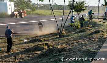 Prefeitura de Birigui reúne secretarias municipais e realiza força-tarefa no bairro Candeias - Prefeitura de Birigui (.gov)