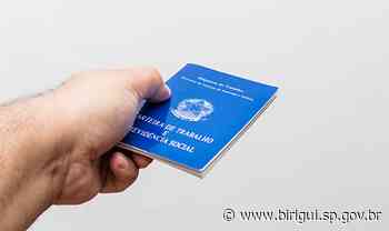 Birigui fecha primeiro trimestre na liderança do ranking regional de geração de emprego - Prefeitura de Birigui (.gov)