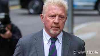 BILD überbringt Ihre Nachricht! Senden Sie eine Botschaft an Boris Becker - BILD