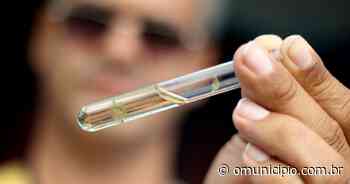 Dengue: em 24h Brusque registra quase 200 novos casos - O Município