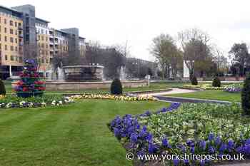 Hull a deserves its title as a Tree City of the World - The Yorkshire Post