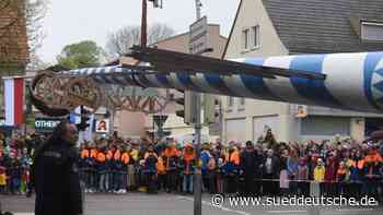 Dachau: Feuerwehr stellt Maibaum am Unteren Markt auf - Süddeutsche Zeitung - SZ.de