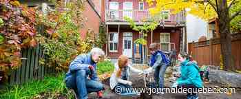 21 000 arbres déjà plantés dans les quartiers de Montréal