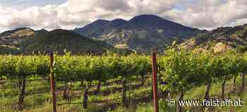 Weinnation USA: Best of Napa Valley