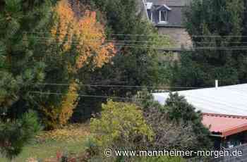 Wie ein Kompromiss im Parkplatzstreit in Mannheim-Neckarau aussehen könnte - Mannheim: Neckarau - Nachrichten und Informationen - Mannheimer Morgen