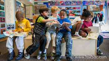 DC elementary school gave 4-year-olds ‘anti-racism’ ‘fistbook’ asking them to identify racist family members - FOX 5 DC