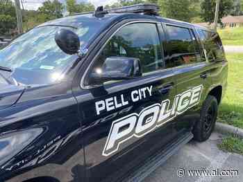 Two 16-year-olds among 3 arrested in spate of Pell City car break-ins - AL.com