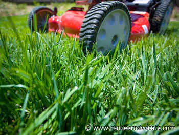 Take the 'No Mow May' challenge Red Deer – Red Deer Advocate - Red Deer Advocate