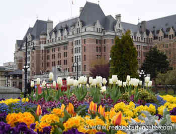 Tomlinson: Famous gardens in Canada are must-visit attractions - Red Deer Advocate