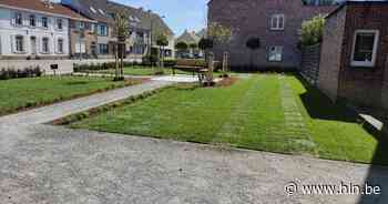 Groendienst creëert nieuw stukje groen met rustbanken in Vlimmeren - Het Laatste Nieuws