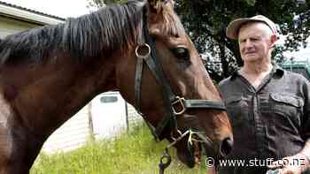 Man who died in Foxton crash was horse trainer Jack Scott - Stuff