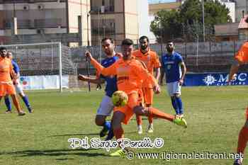 Il sogno si chiama Promozione: domenica il Trani ospita lo Stornarella per la semifinale dei playoff - Radio Bombo