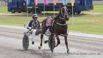 Ashleigh Markham scores first win from Charlton training base - Bendigo Advertiser