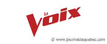 Les préauditions de La Voix à Montréal et Québec en juin