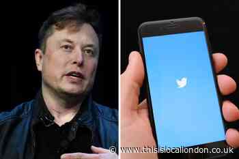 Elon Musk says businesses and government could face a ‘slight cost’ on Twitter