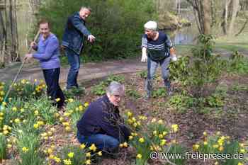 Reichenbachs Park blüht auf - freiepresse.de