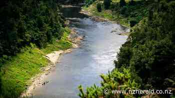 NSW politician seeks help from iwi to protect Australian rivers - New Zealand Herald