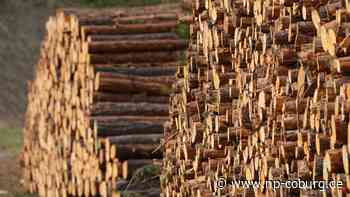 Erdüberlastungstag - Deutschland hat Ressourcen für 2022 bereits verbraucht - Neue Presse Coburg