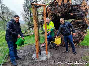 Coburg: Für eine nachhaltige und sozialgerechte Stadt - Der Neue Wiesentbote