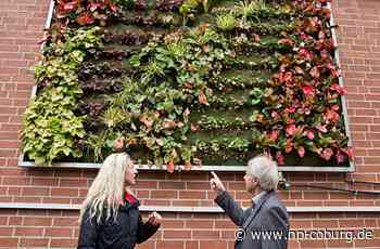 Klimaschutz - Coburg soll „enkeltauglich“ werden - Neue Presse Coburg