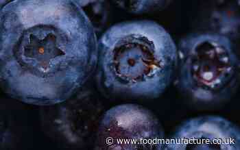 Omega Ingredients acquisition to boost UK and overseas growth