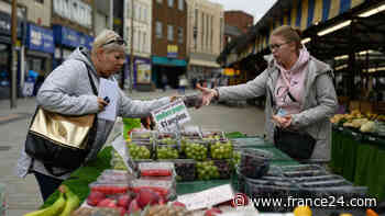 Dudley decides: rising prices set to cost UK Tories - FRANCE 24 English