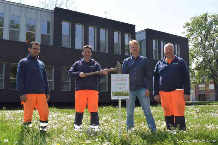 Gemeente maait niet in mei en plaatst bordjes om inwoners mee te overtuigen