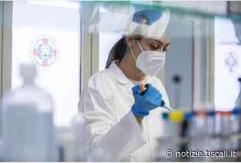 Con Omicron è facile reinfettarsi: le sue "sorelle" sono in grado di bucare l'immunità - Tiscali Notizie