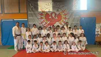 Pamiers. Kodokan judo : les enfants en stage - LaDepeche.fr