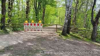 Sperrung aufgehoben: Rundweg am Pfuhler Baggersee wieder geöffnet