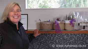 Wynyard Estate Saffron harvesting the world's most expensive spice - New Zealand Herald