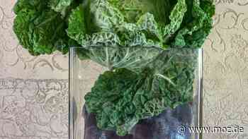 Essen und Trinken in Brandenburg: Dolce Vita in der Mark – geht das überhaupt? Kulturlandjahr-Macher wollen es beweisen - Märkische Onlinezeitung