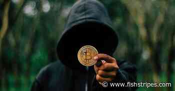 The Main Features of Bitcoin – how to use cryptocurrency - Fish Stripes