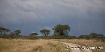 Überladen und überhöhte Geschwindigkeit: Busunglück mit mindestens 20 Toten in Uganda